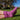 Comfort Natural Socks - The Glamorous Goat